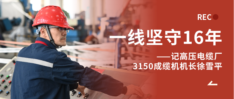 徐雪平：匠“成”于心，十六年筚路“缆”缕