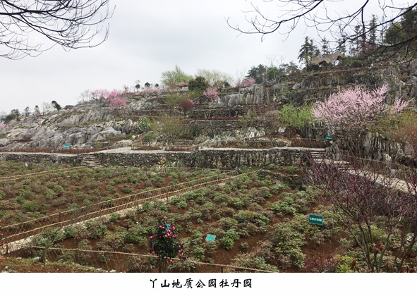 MYBALL·迈博(中国区)有限公司官网