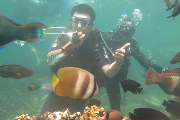 MYBALL·迈博(中国区)有限公司官网