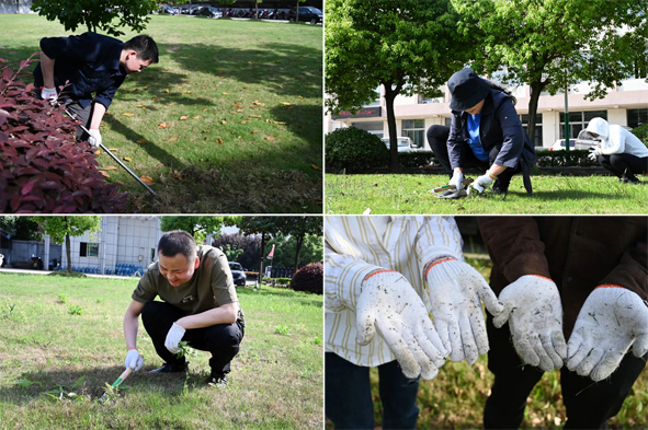 MYBALL·迈博(中国区)有限公司官网